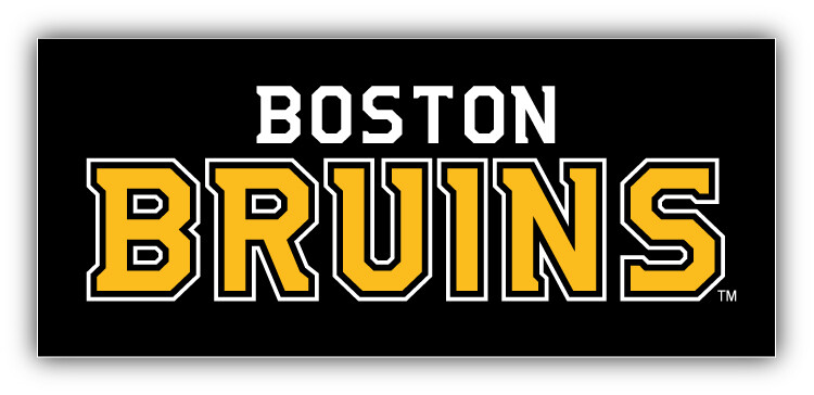 Boston Bruins NHL Hockey Sport Logo Car Bumper Sticker Decal "SIZES"