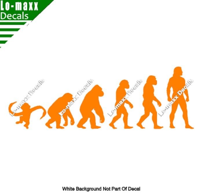 Evolution Of Barrel Of Monkeys Funny Ape To Man Vinyl Decal Sticker Art