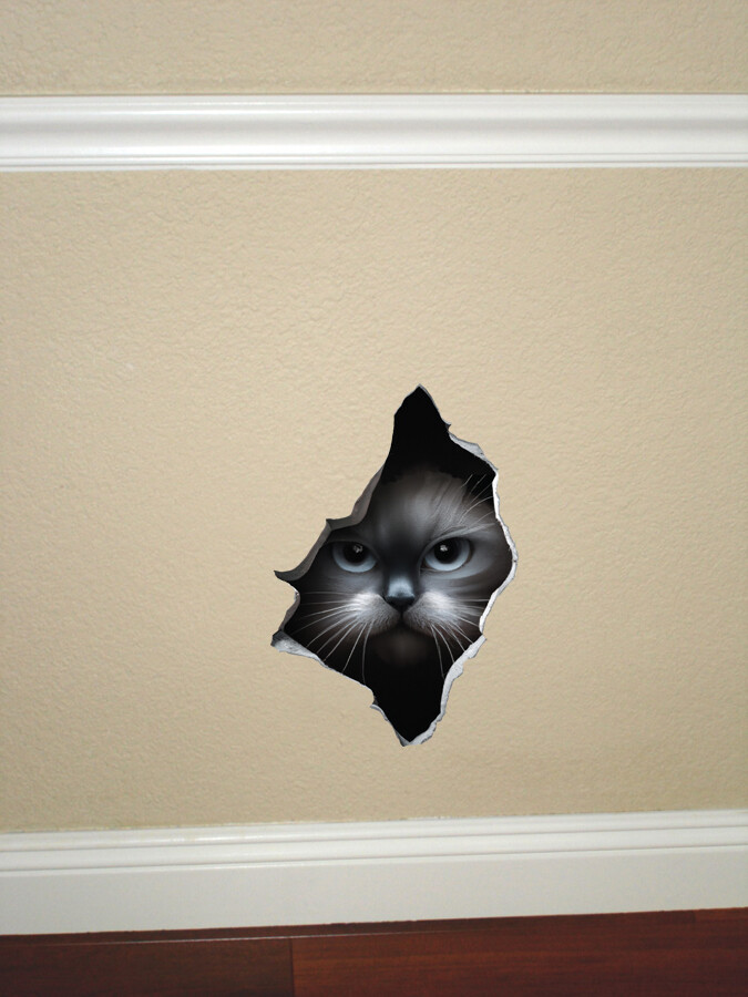 Gray Cat Peeking Through a Hole in the Wall – Vinyl Wall Decal Quality USA Made