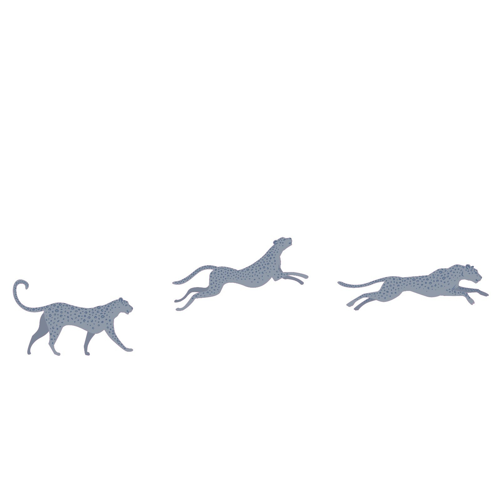 Vinyl Nursery Kids Bedroom Large Cat Animals Design Leopards Wall Decal Art 5×20