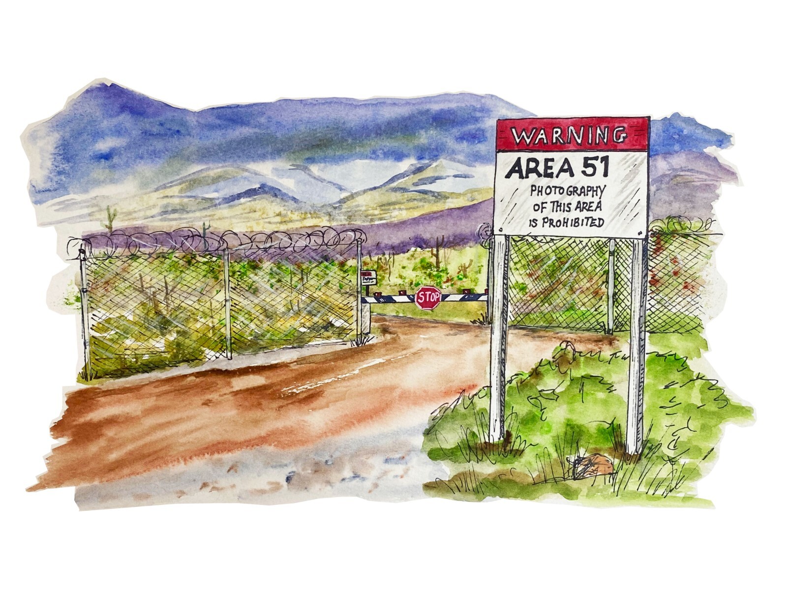 Top Secret Area 51 Landscape Extraterrestrial Government USAF Nevada