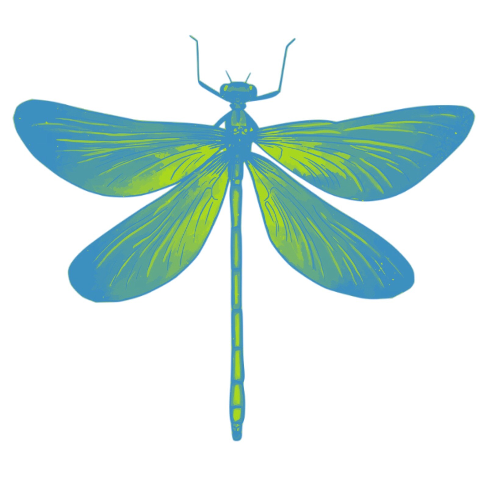 4” Majestic Dragonfly Sticker Green Blue Love Grief Memorial Remembrance Loss