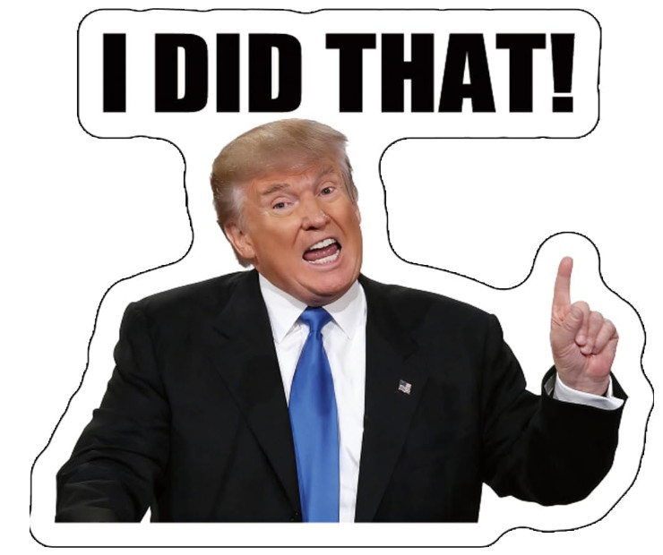 100x Trump I Did That Stickers – Waterproof Vinyl Decal Pack, B