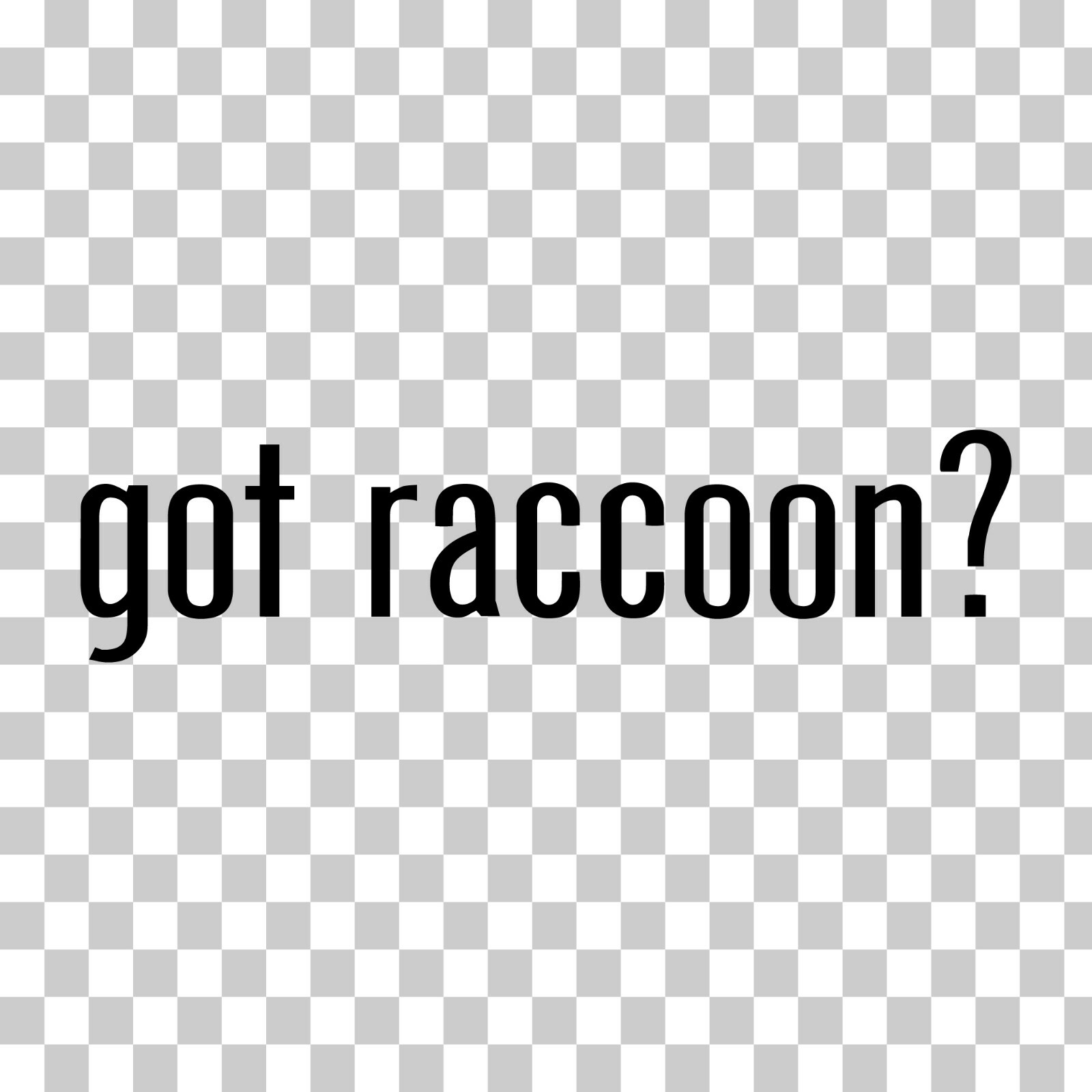 Got Raccoon? Custom Vinyl Sticker / Decal Animal, Trash Panda, Nature, Wildlife