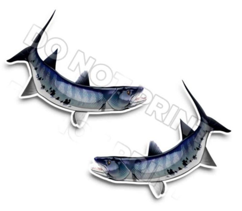Barracuda Decals Fish Stickers Vinyl Tackle Box Stickers – Set of 2 #128