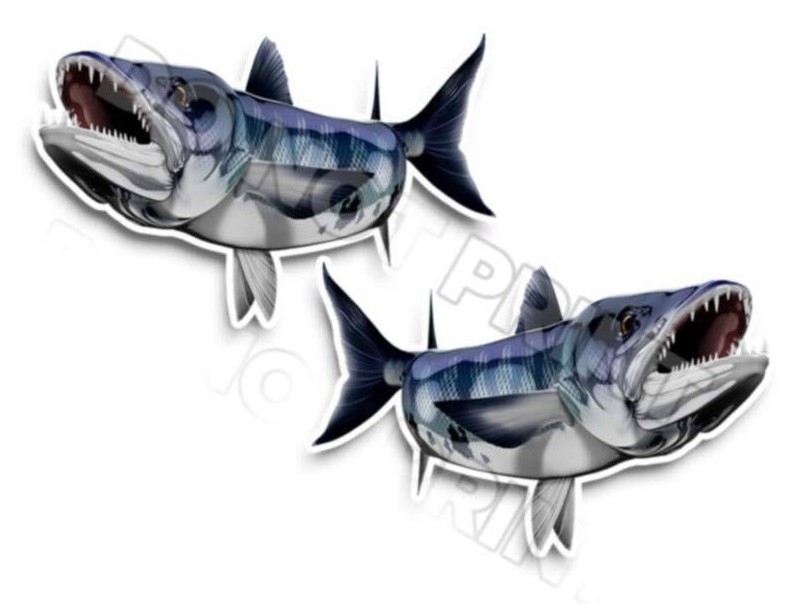 Barracuda Decals Fish Stickers Vinyl Tackle Box Stickers – Set of 2 #126