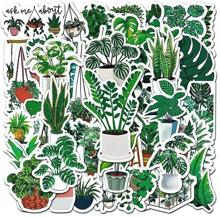 Plant VINYL Stickers [C] Potted HOUSEPLANTS House Succulent ~ Waterproof Decals