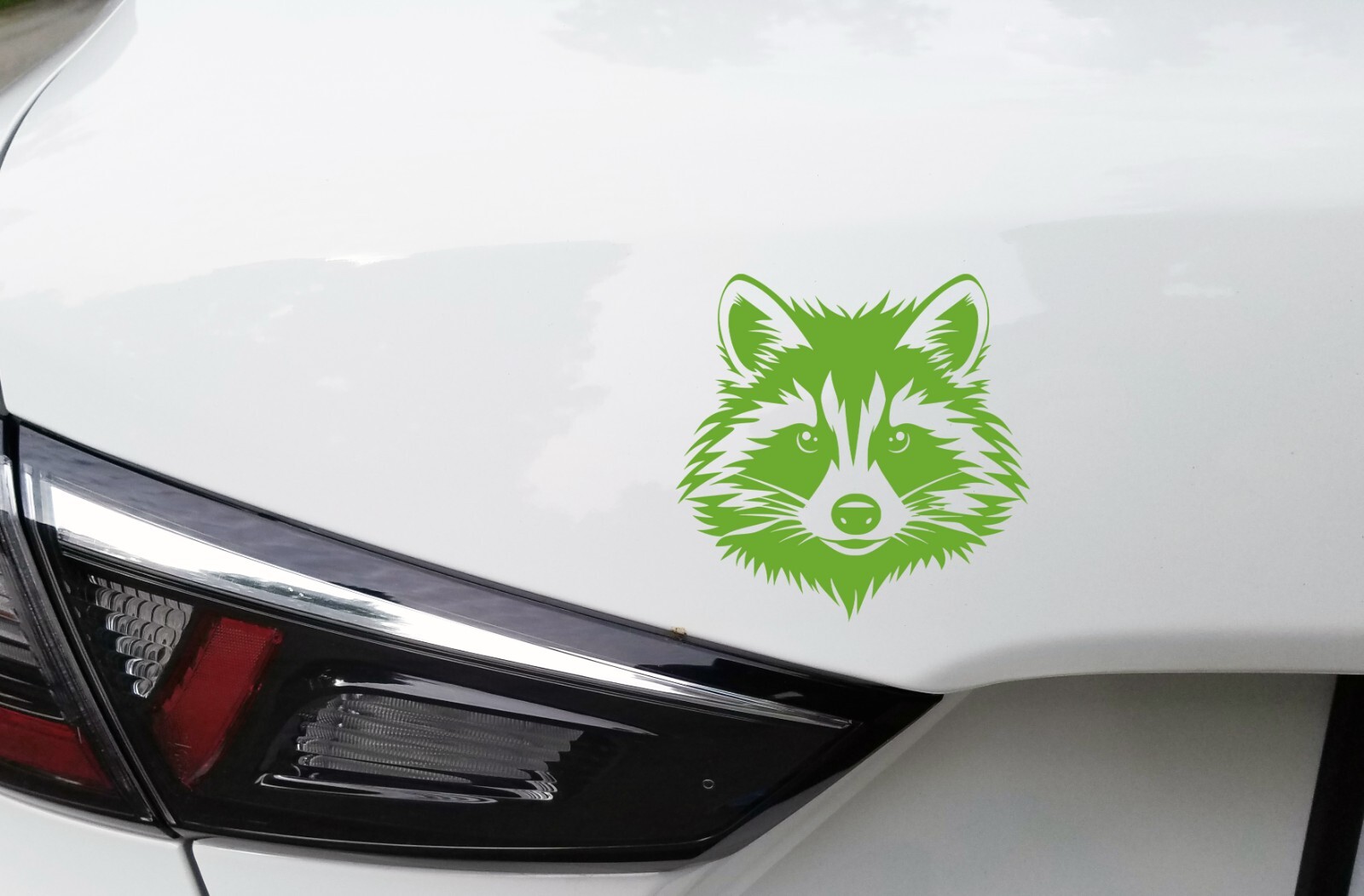 Raccoon Face Custom Vinyl Stickers | Realistic Animal Decals | Die Cut Stickers