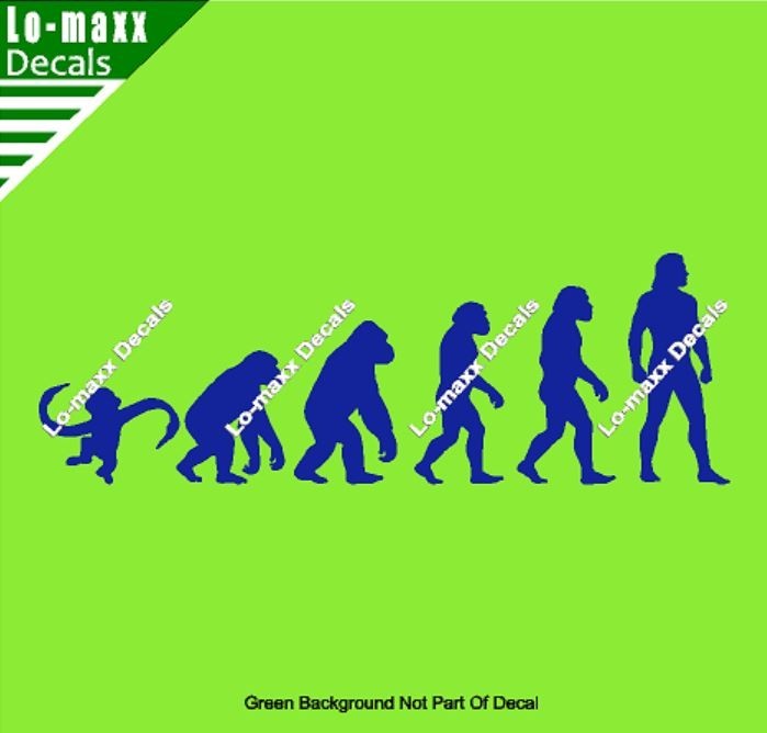 Evolution Of Barrel Of Monkeys Funny Ape To Man Vinyl Decal Sticker Art
