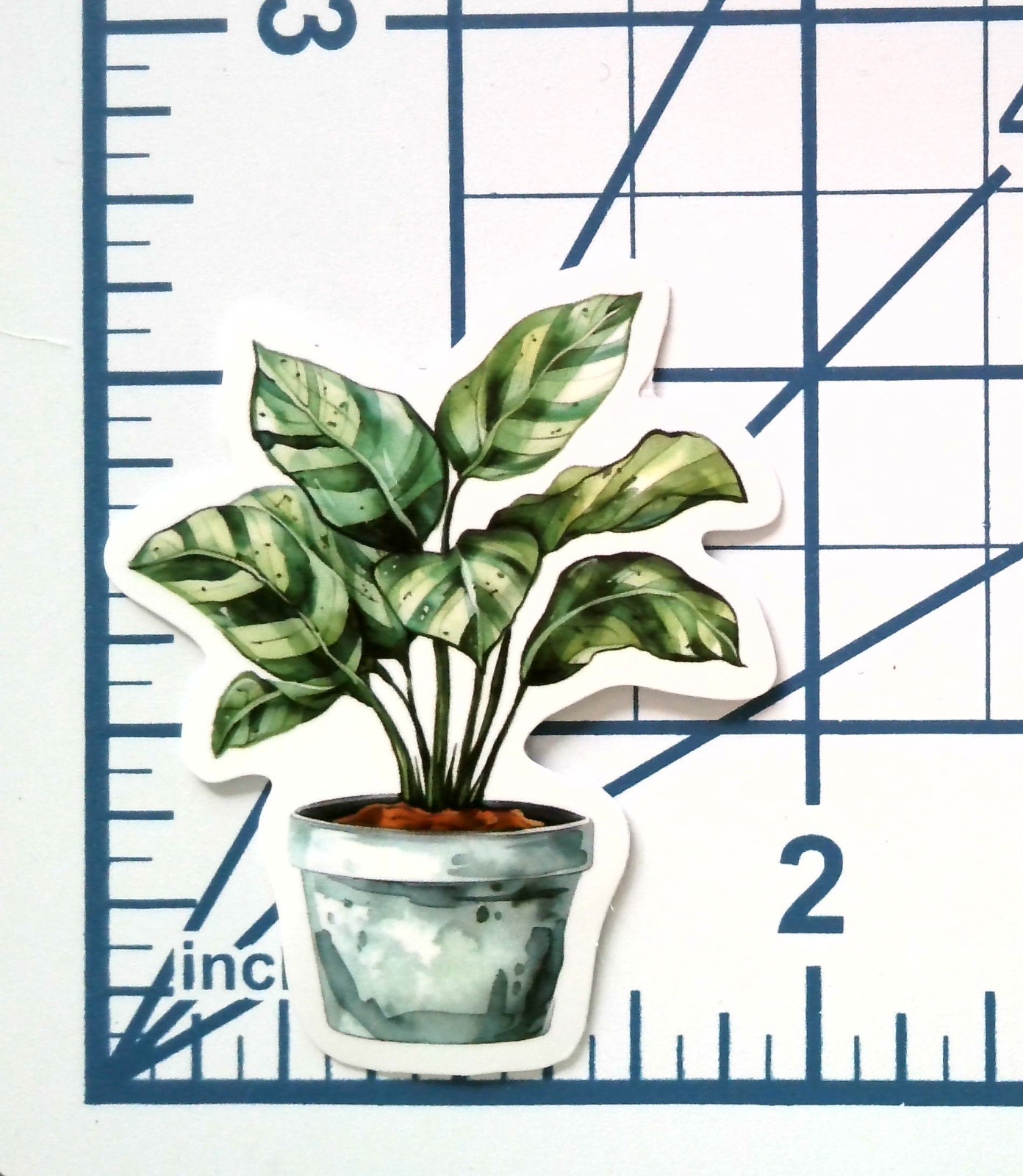 Vinyl Sticker Die Cut Calathea Prayer Plant Decal Houseplant Journal Scrapbook