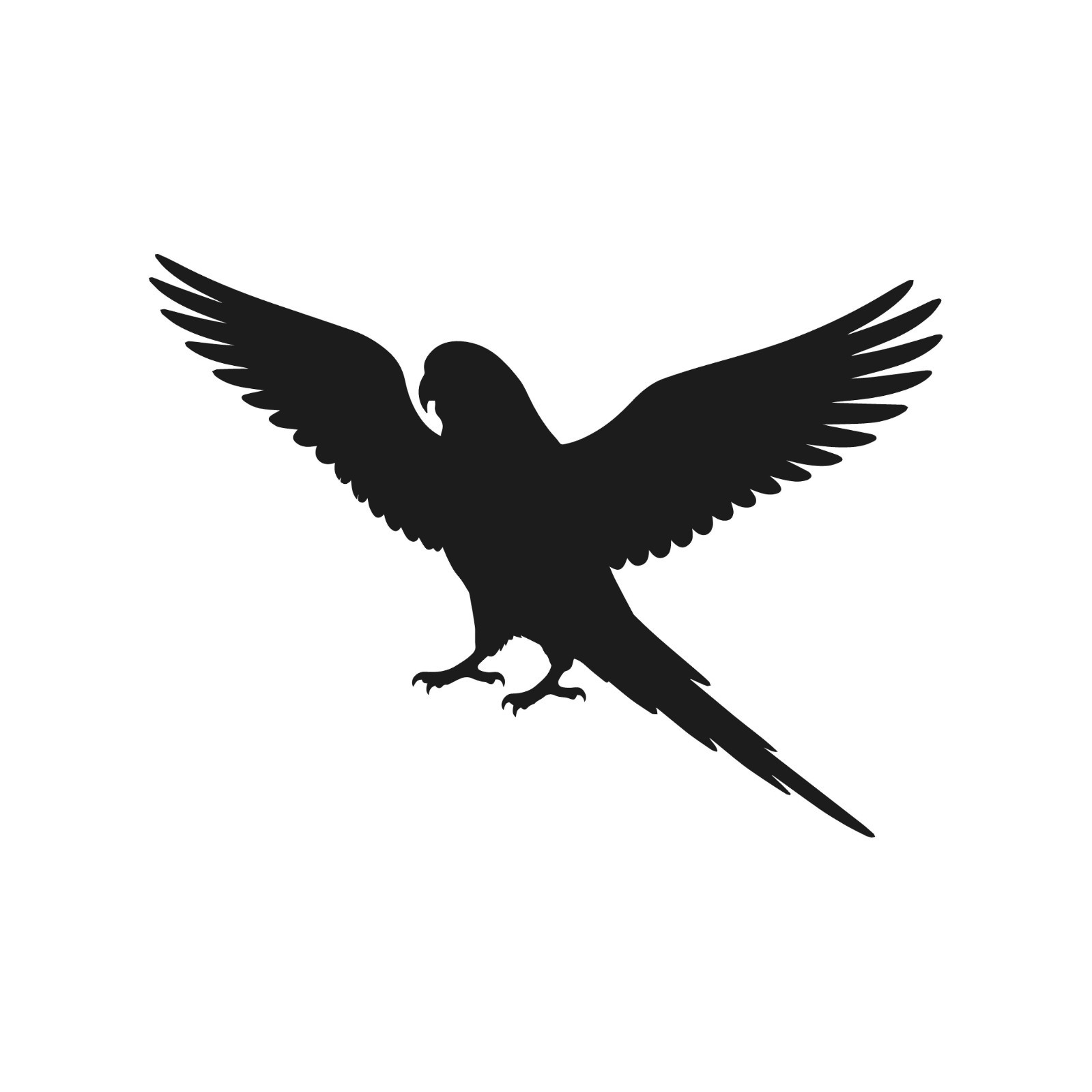 Parakeet Open Wings Wildlife Bird Vinyl Decal Window Wilf birds life Sticker