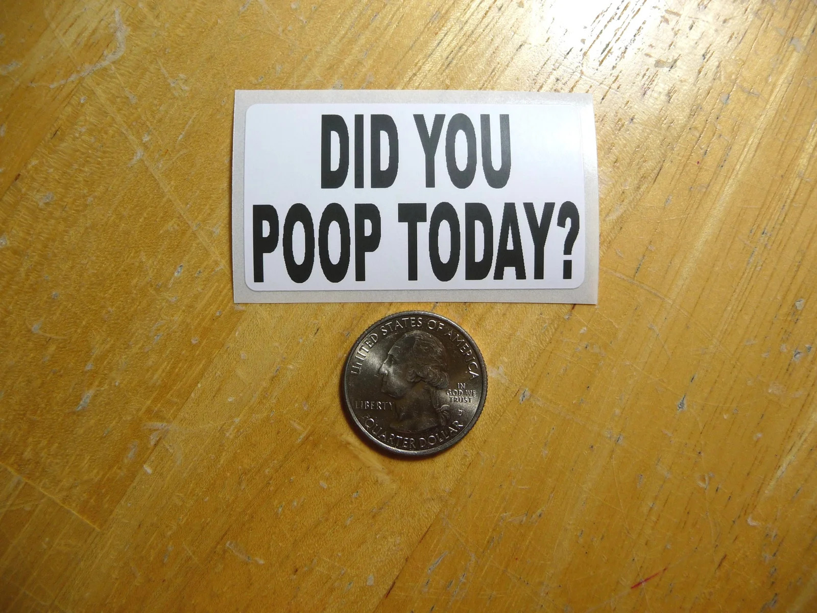 DID YOU POOP TODAY STICKER DECAL 1 – 50 BULK PACK FUNNY JOKE PRANK