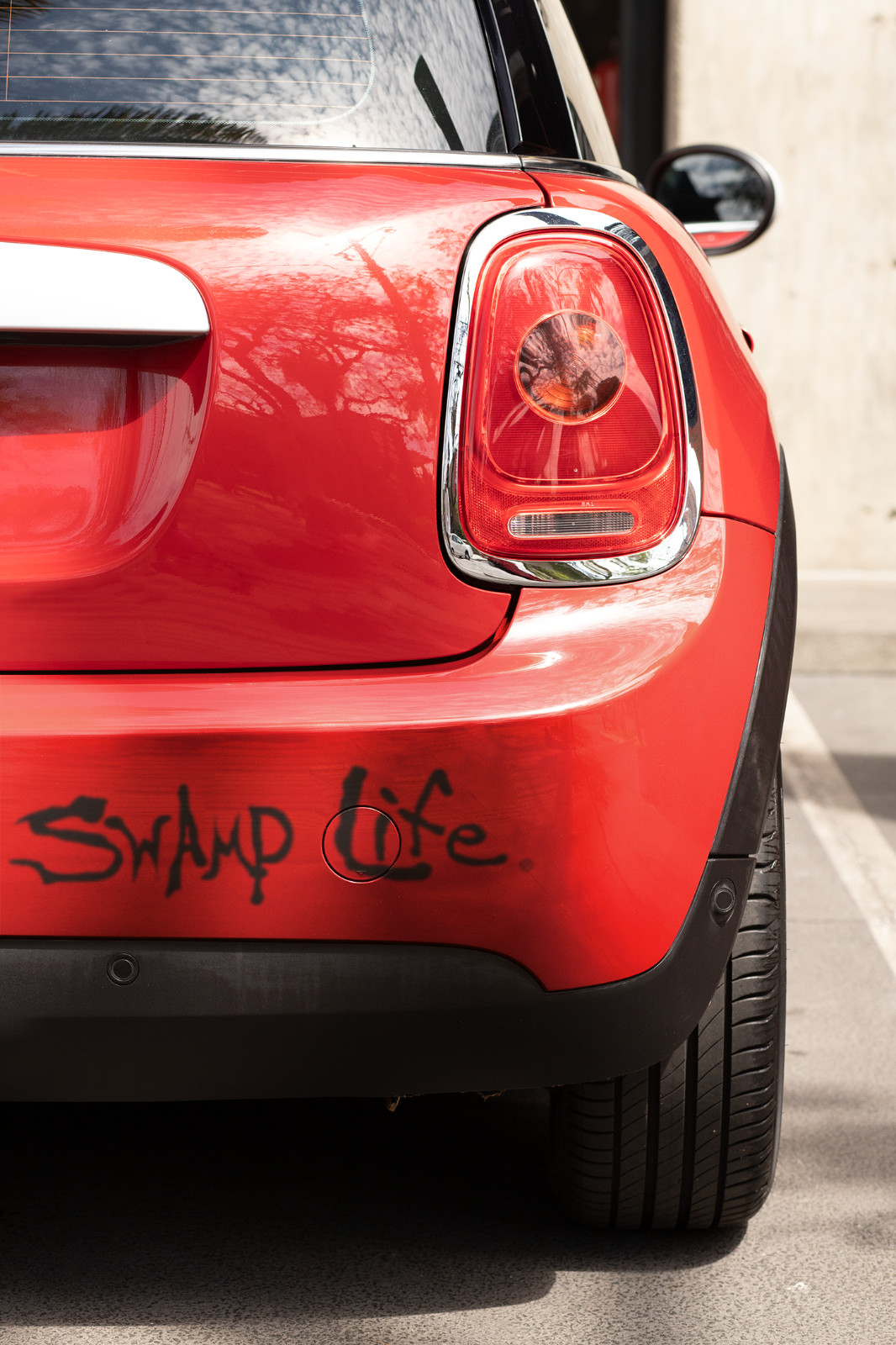 Swamp Life Gators Text vinyl decal sticker for cars, trucks, boats, windows, etc