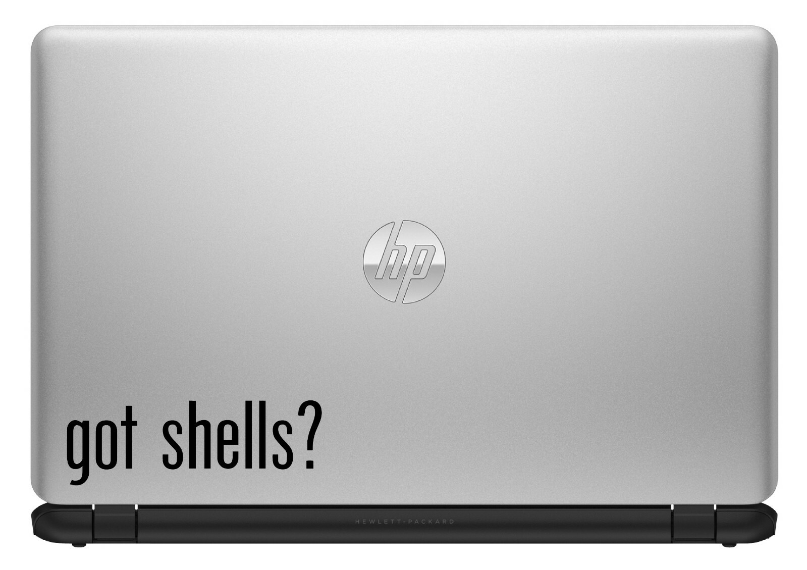Got Shells? Custom Vinyl Sticker / Decal Sea Shell, Beach, Ocean, Clam