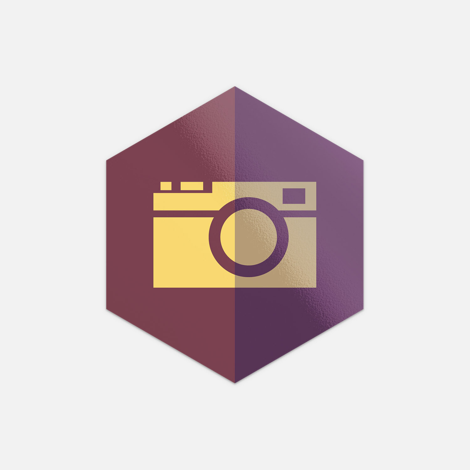 Camera Rumpled Icon Vinyl Sticker Decal