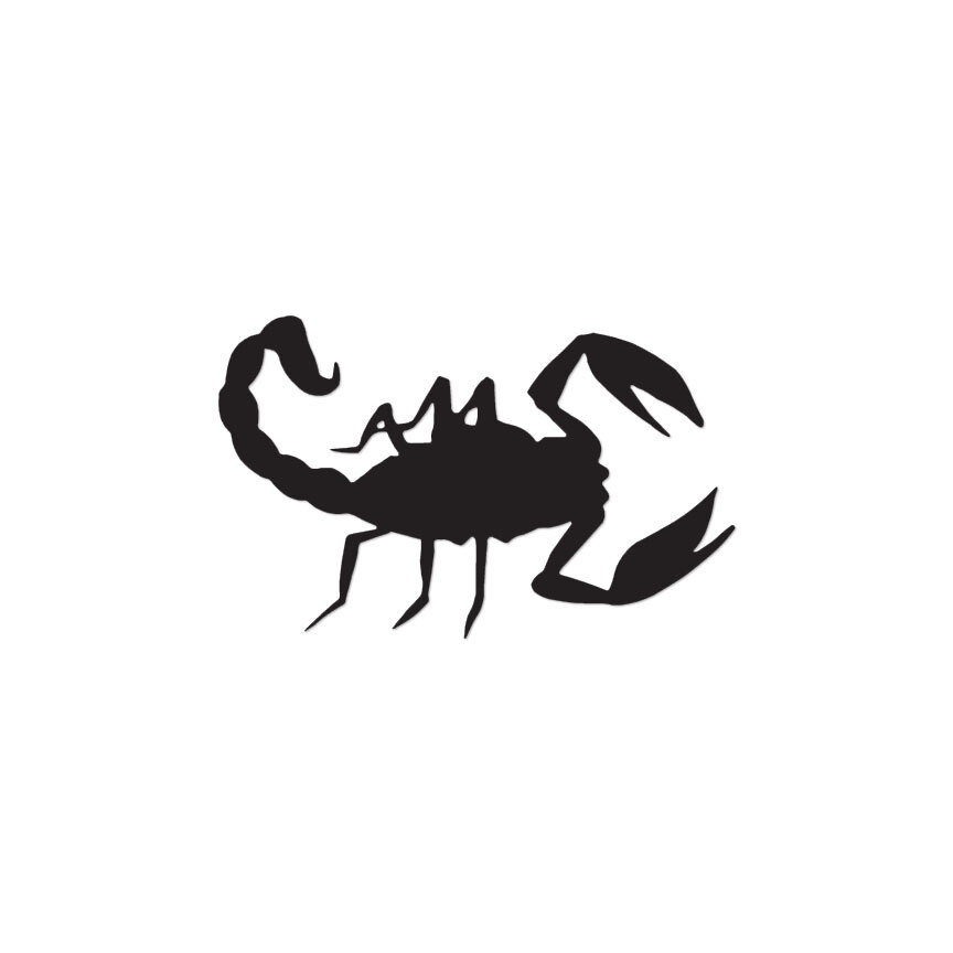 Scorpion Stinger – Vinyl Decal Sticker – Multiple Color & Sizes – ebn601