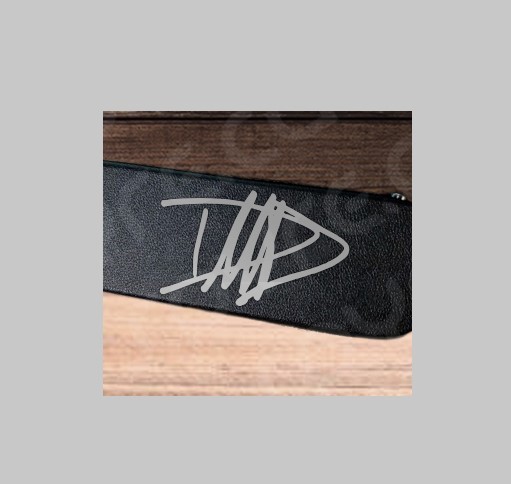 Dave Grohl Gibson Custom DG-335 Decal / Sticker for guitar case vehicle window