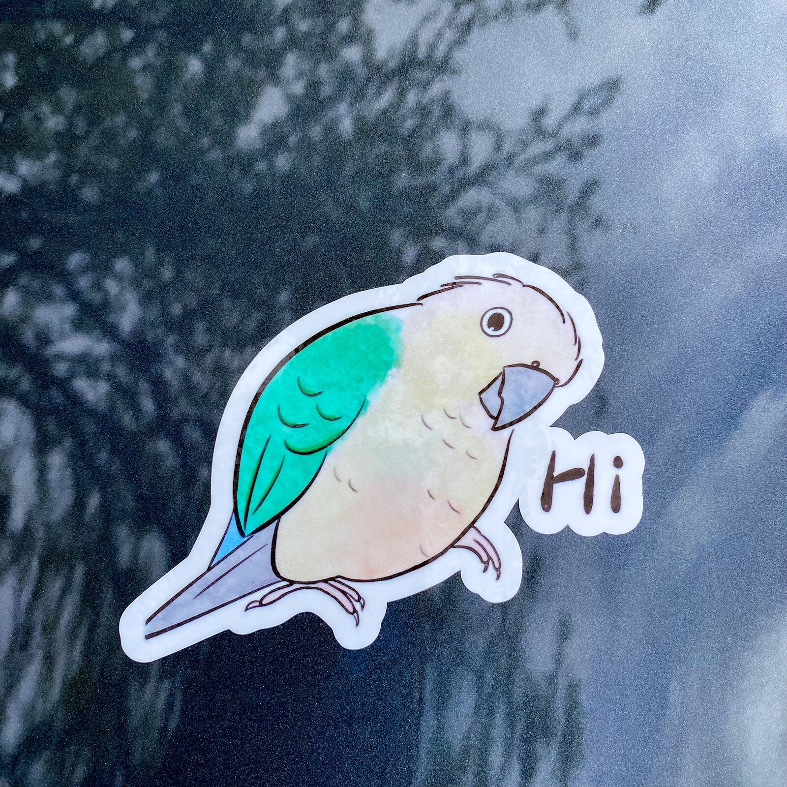 Green Cheek Conure CAR Stickers turquoise pineapple Outdoor use / UV Water Proof