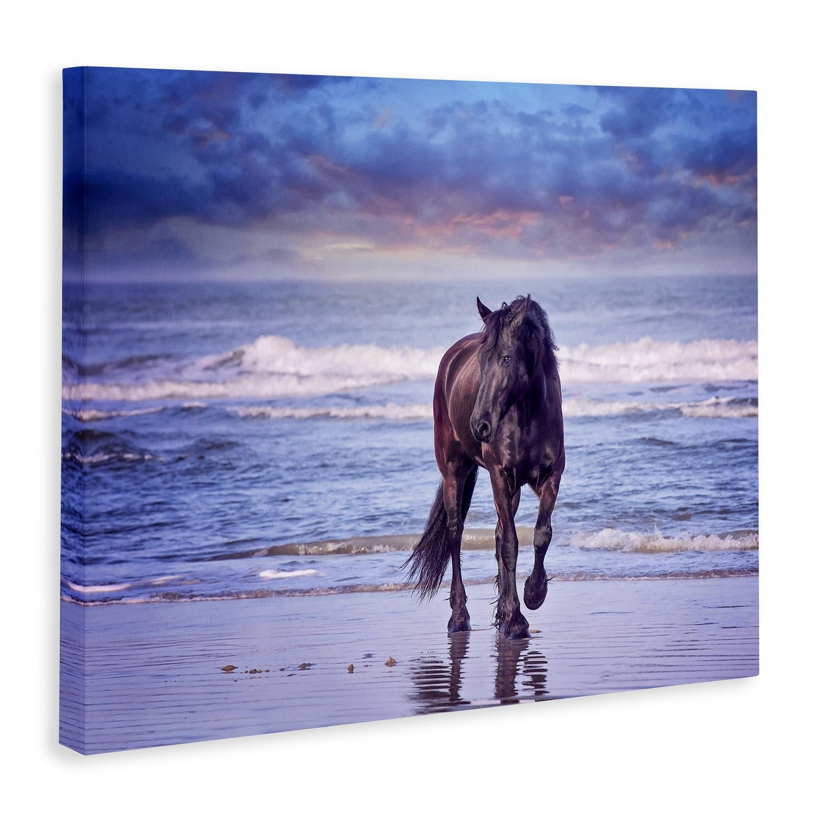 Stupell Industries Wild Horse on Beach Colorful Blue Sunset, Gallery Wrapped …