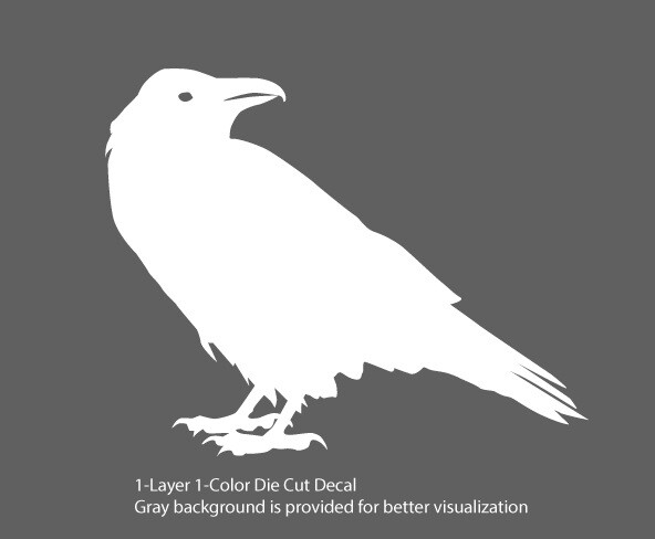Wildlife – Birds – Staring Raven/Crow/Corvid – 6Yrs Outdoor Vinyl DieCut Sticker