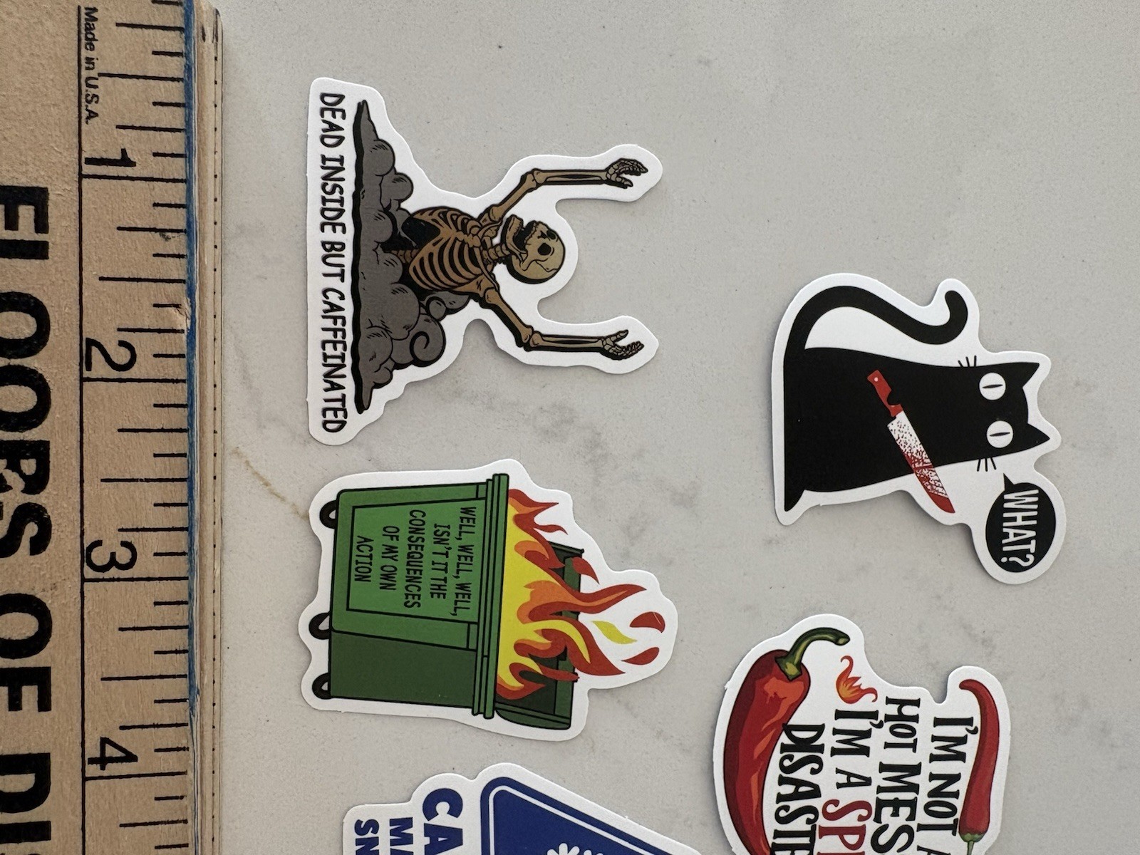 Set Of 5 Funny Quirky Sayings Stickers Skeletons Cats Words Quotes