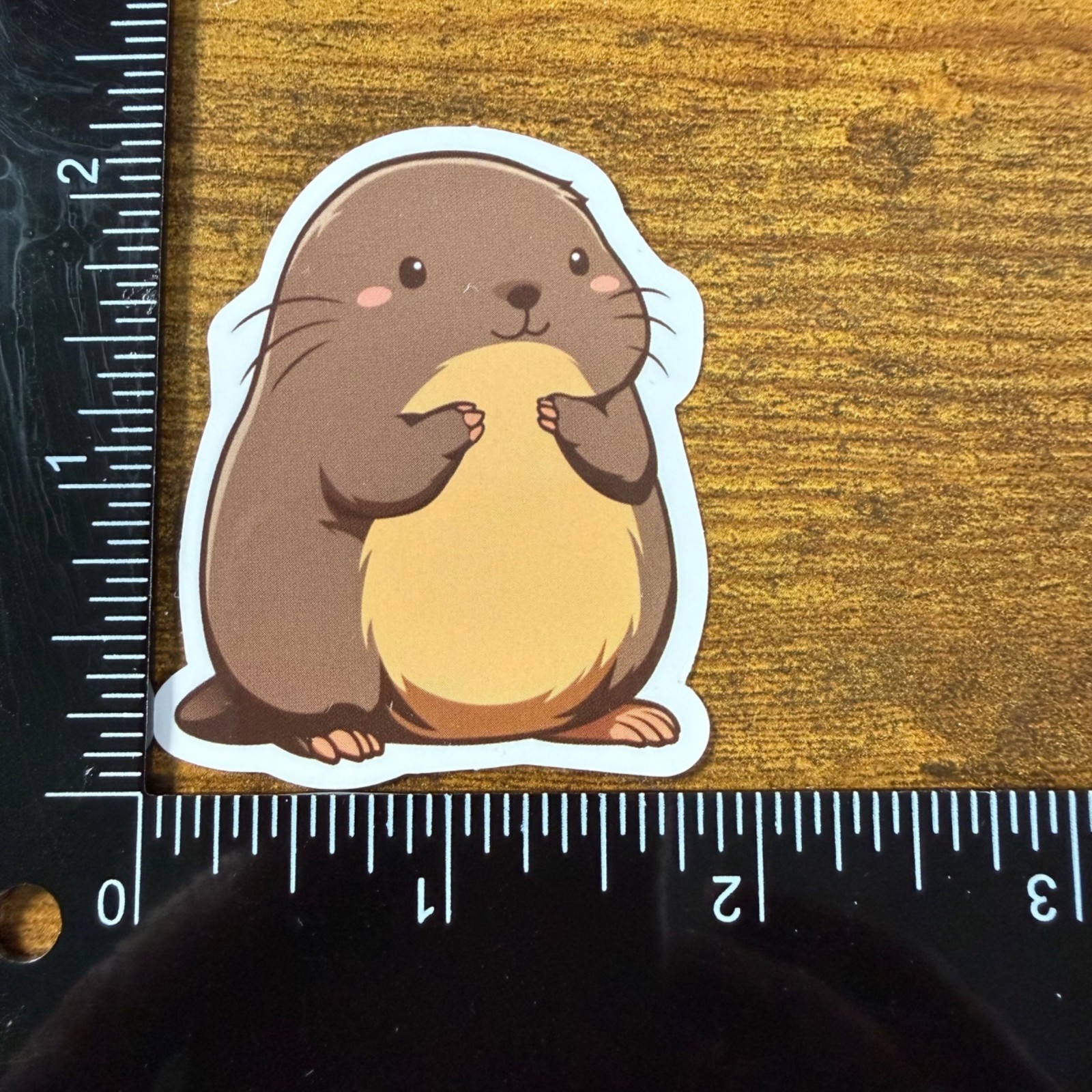 3 Stickers Animals Woodland Forest Vinyl Decal Laptop Phone Bottle Notebook