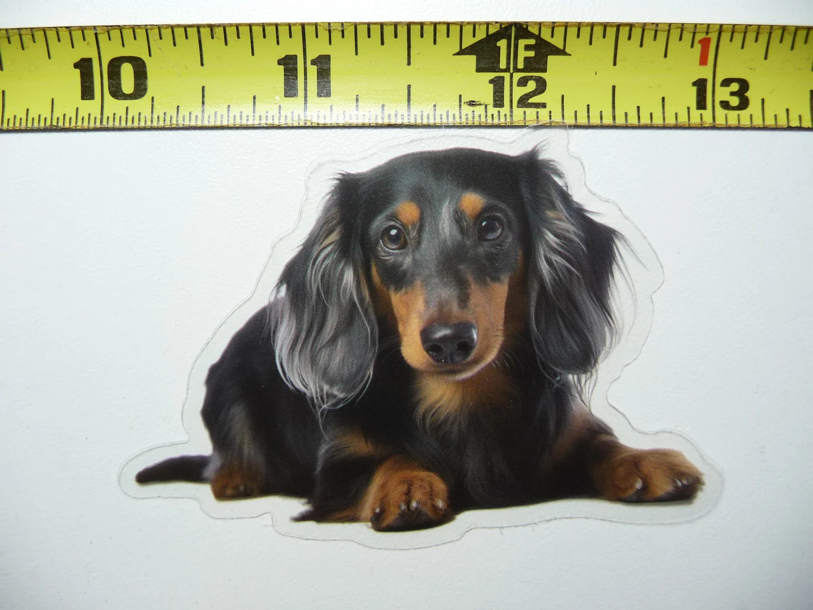 LONG HAIRED DACHSHUND DOG SMALL STICKER DECAL PET COLORFUL BEST FRIEND