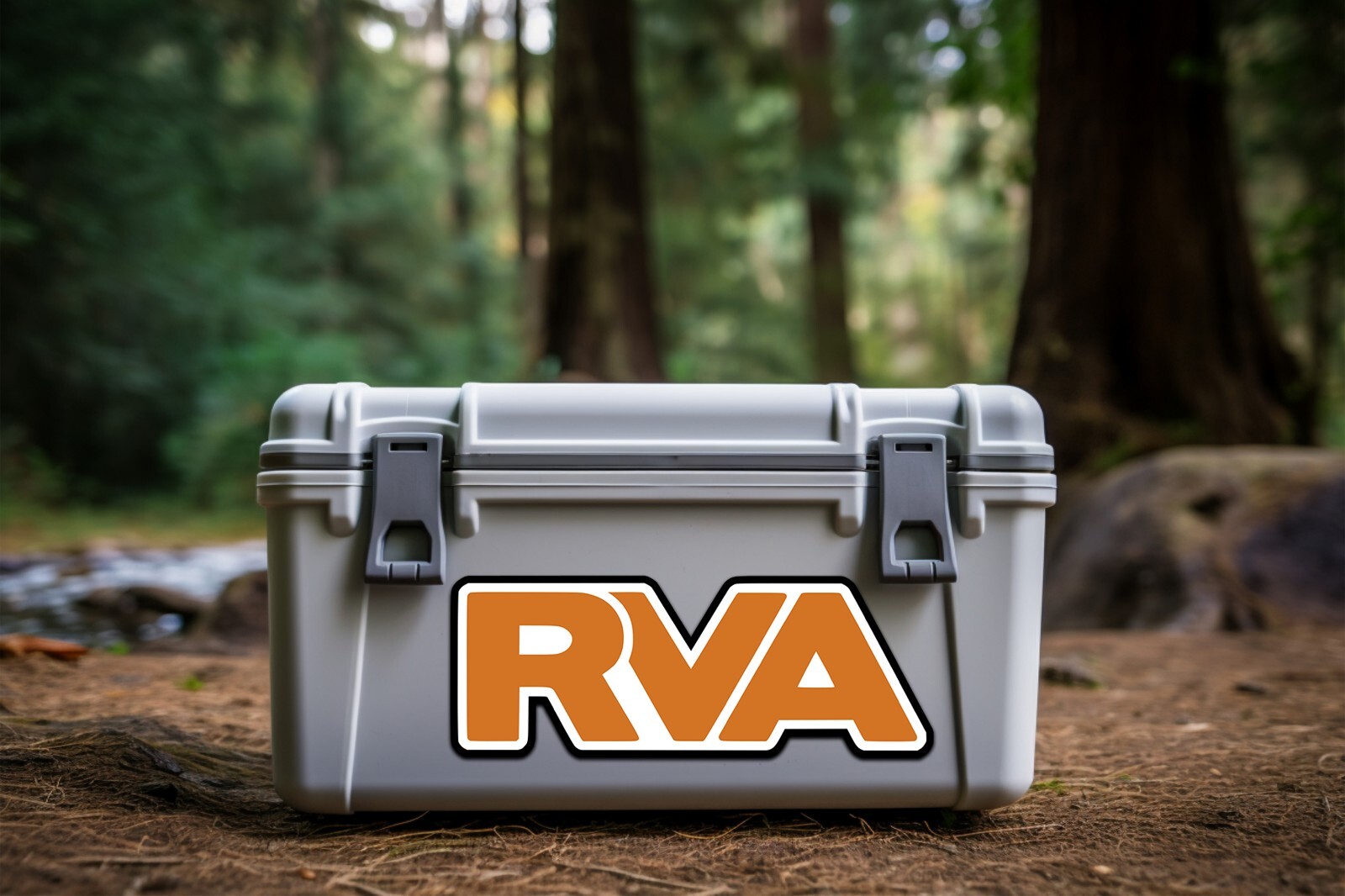 RVA Vinyl Sticker | Vinyl Die Cut Decal | Car Decal | Richmond | Virginia