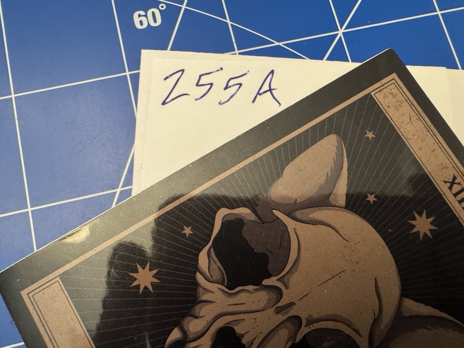 Death Cat Tarot Super Glossy Sticker Decal Unique Ephemera