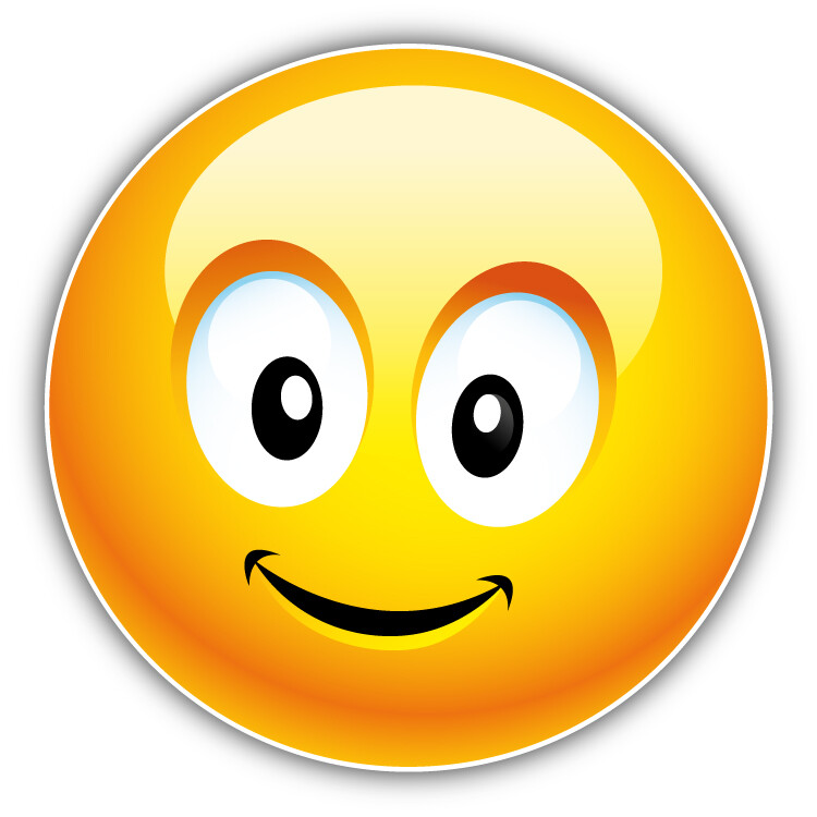 Smile Car Bumper Sticker Decal