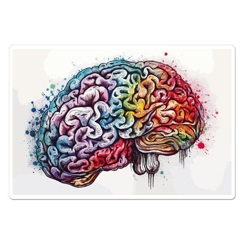 Human Brain Sticker Decal