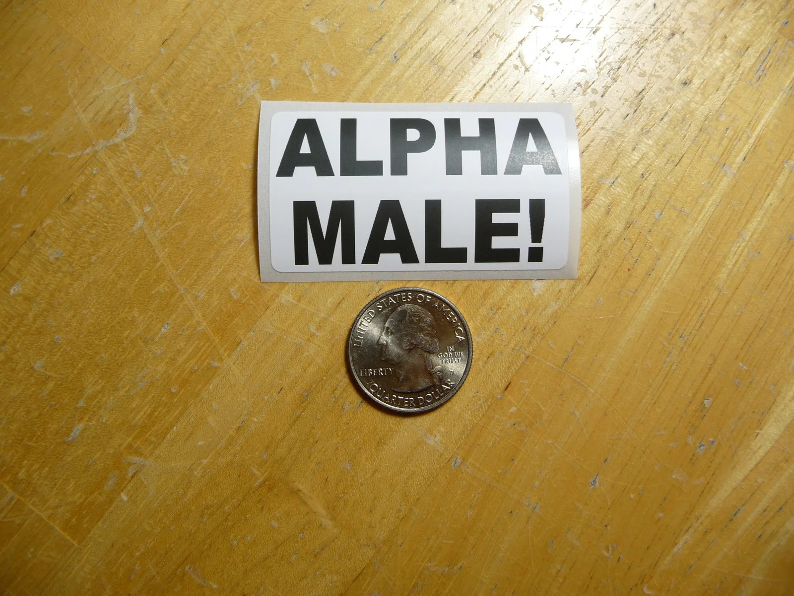 ALPHA MALE STICKER DECAL 1 – 50 BULK PACK FUNNY DOMINATE IN CHARGE PRANK