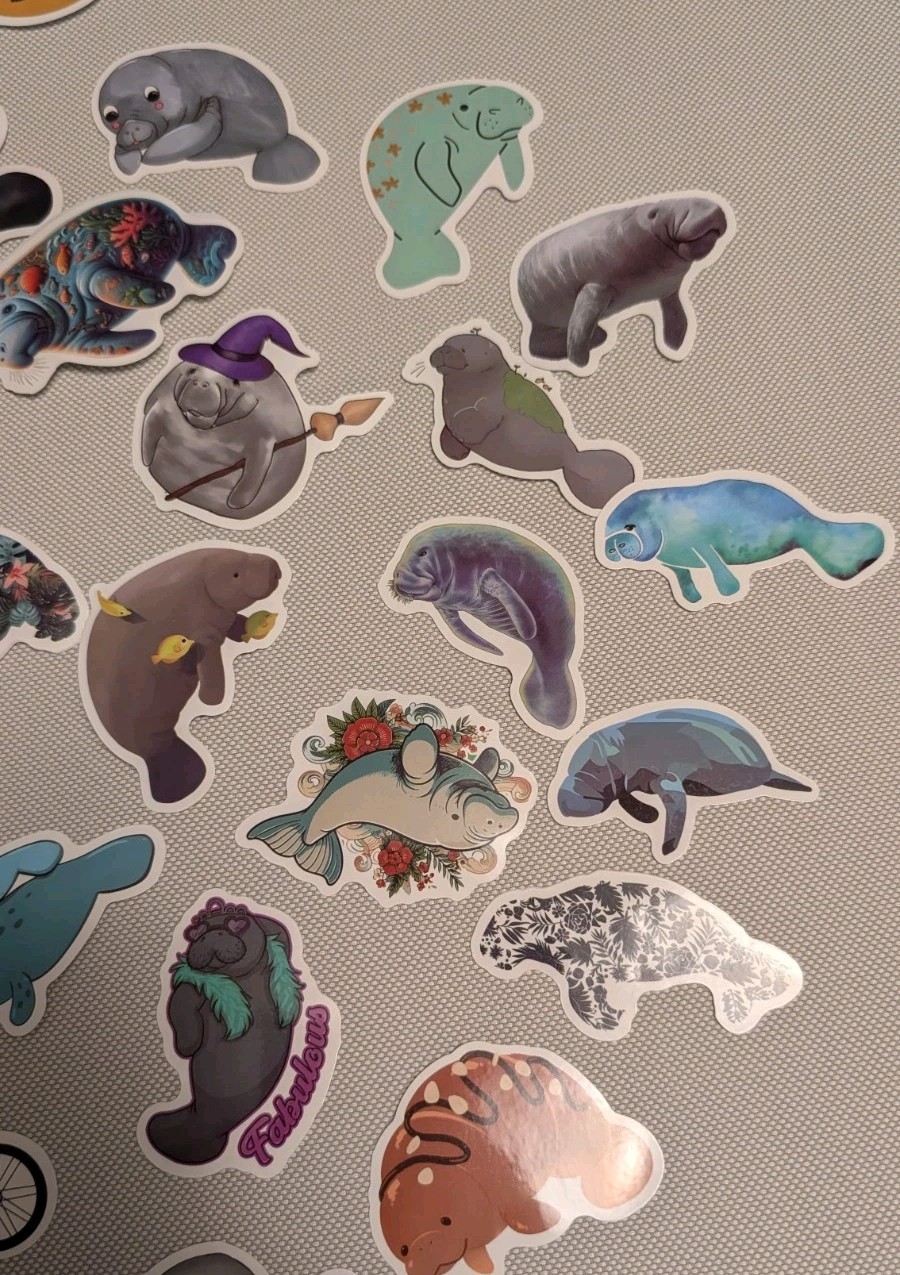 MYSTERY MIXED LOT OF 10 MANATEE GRAPHIC DECAL STICKER ART CAR WALL LAPTOP DECOR