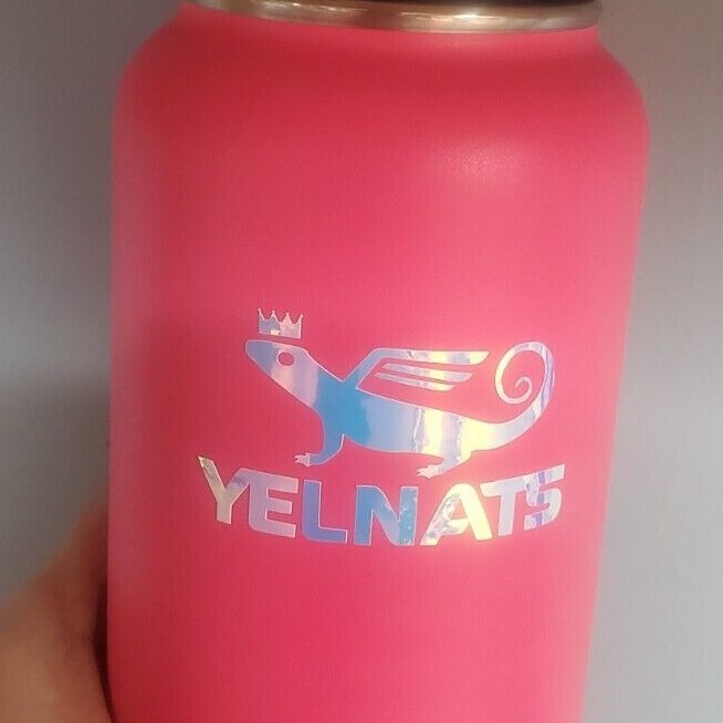 Yelnats Decal, Stanley Decal Tumbler Vinyl Logo, Stanley Sticker Parady