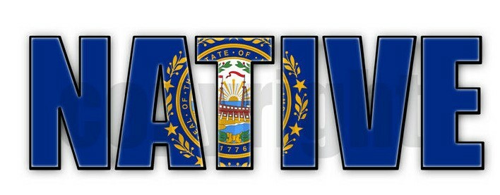 New Hampshire Native Flag Stickers Flag Decals NH State Flag Stickers