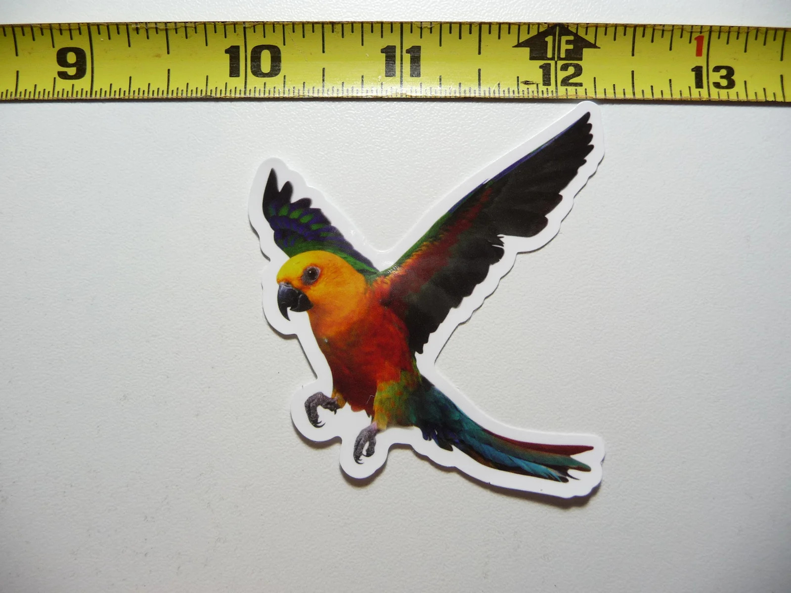 JANDAYA PARAKEET PET BIRD SMALL STICKER DECAL WILDLIFE PRESERVE NATURE ANIMAL