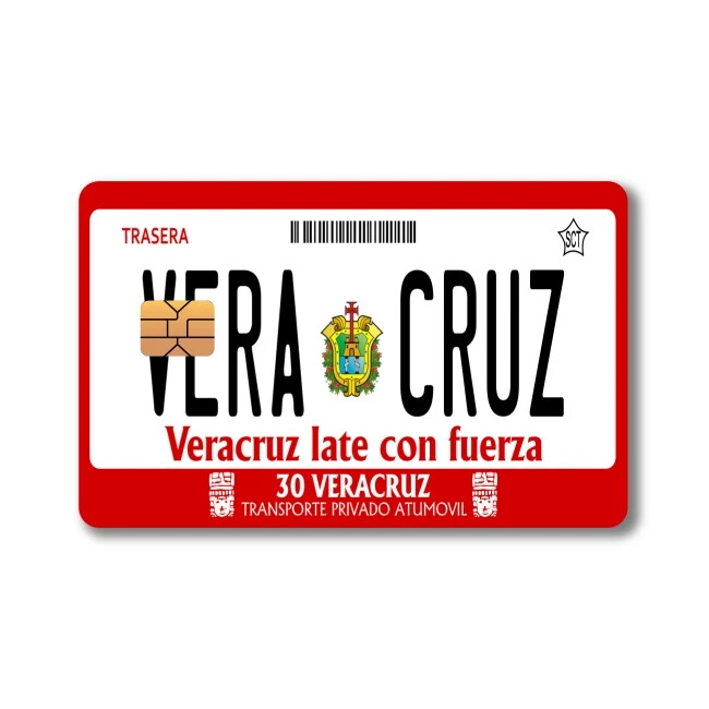 Mexican License Plate Sticker (4-Pack) | CHOOSE STATE | Mexico Placa Card Skin D