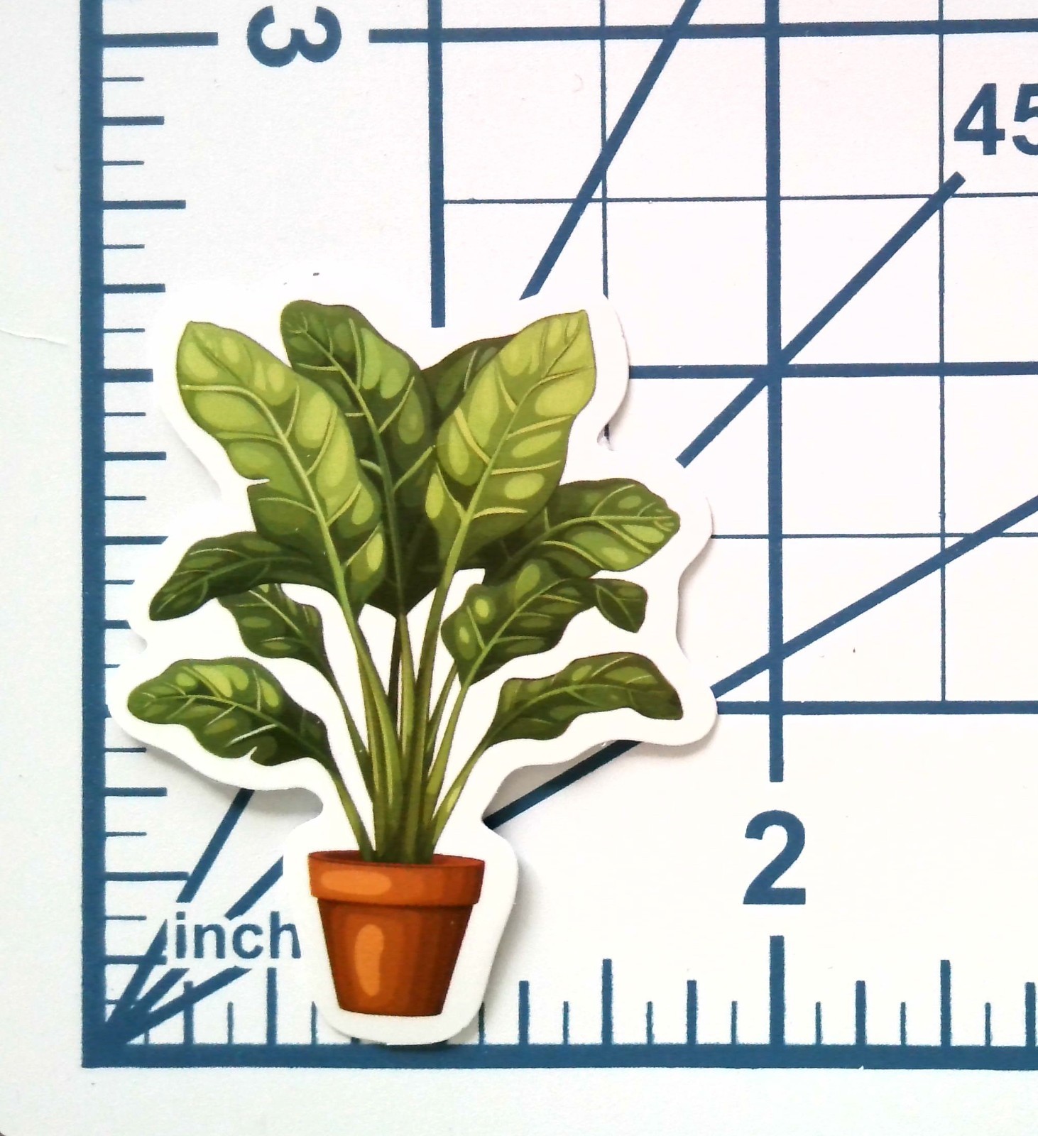 Vinyl Sticker Die Cut Banana Plant Decal Musa Tropical Houseplant Journal Cute
