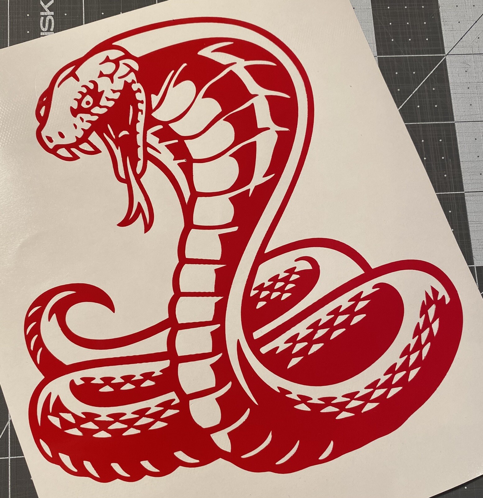Vinyl Decal for Window – Cobra Snake, Various Colors & Sizes