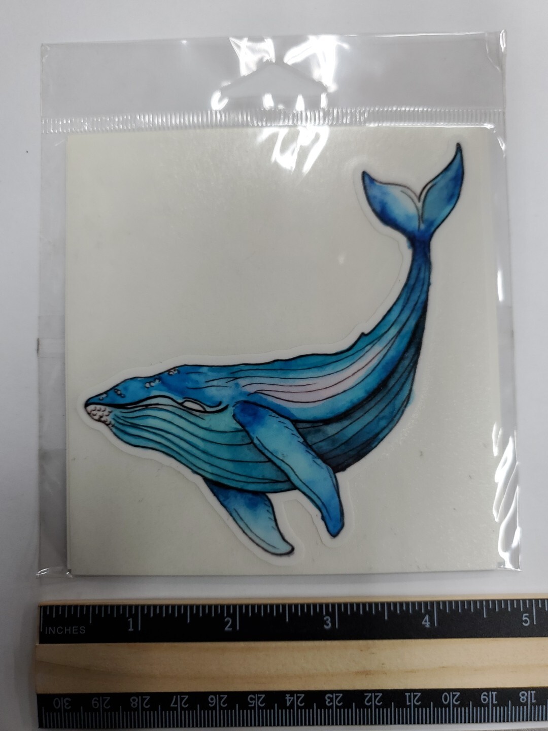 Watercolor Whale Vinyl Decal Sticker – 4" x 4"