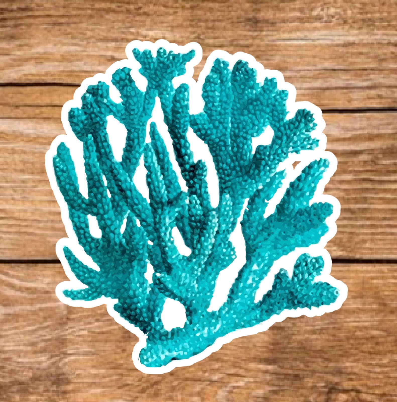 Salt Life (7 Sticker Set) 3in, Waterproof, Glossy Finish Vinyl.