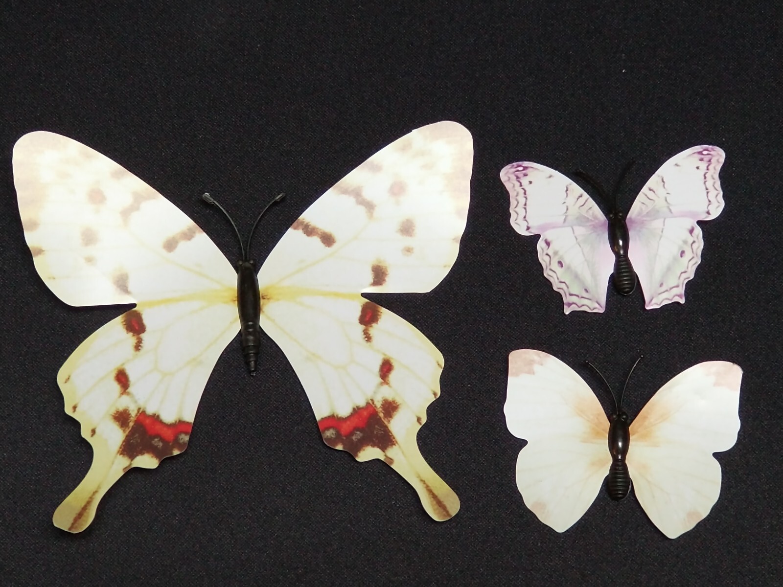 NEW , 12 Paper & Plastic Butterfly Pin set . Each Different, has sticky tabs.