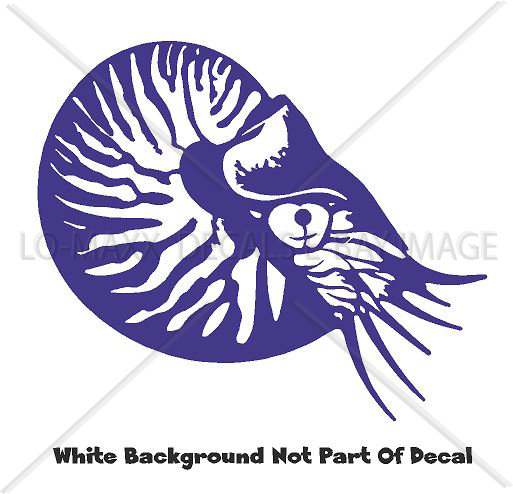 Nautilus Sea Life Contemporary Art Nature Ocean Die Cut Vinyl Decal Sticker