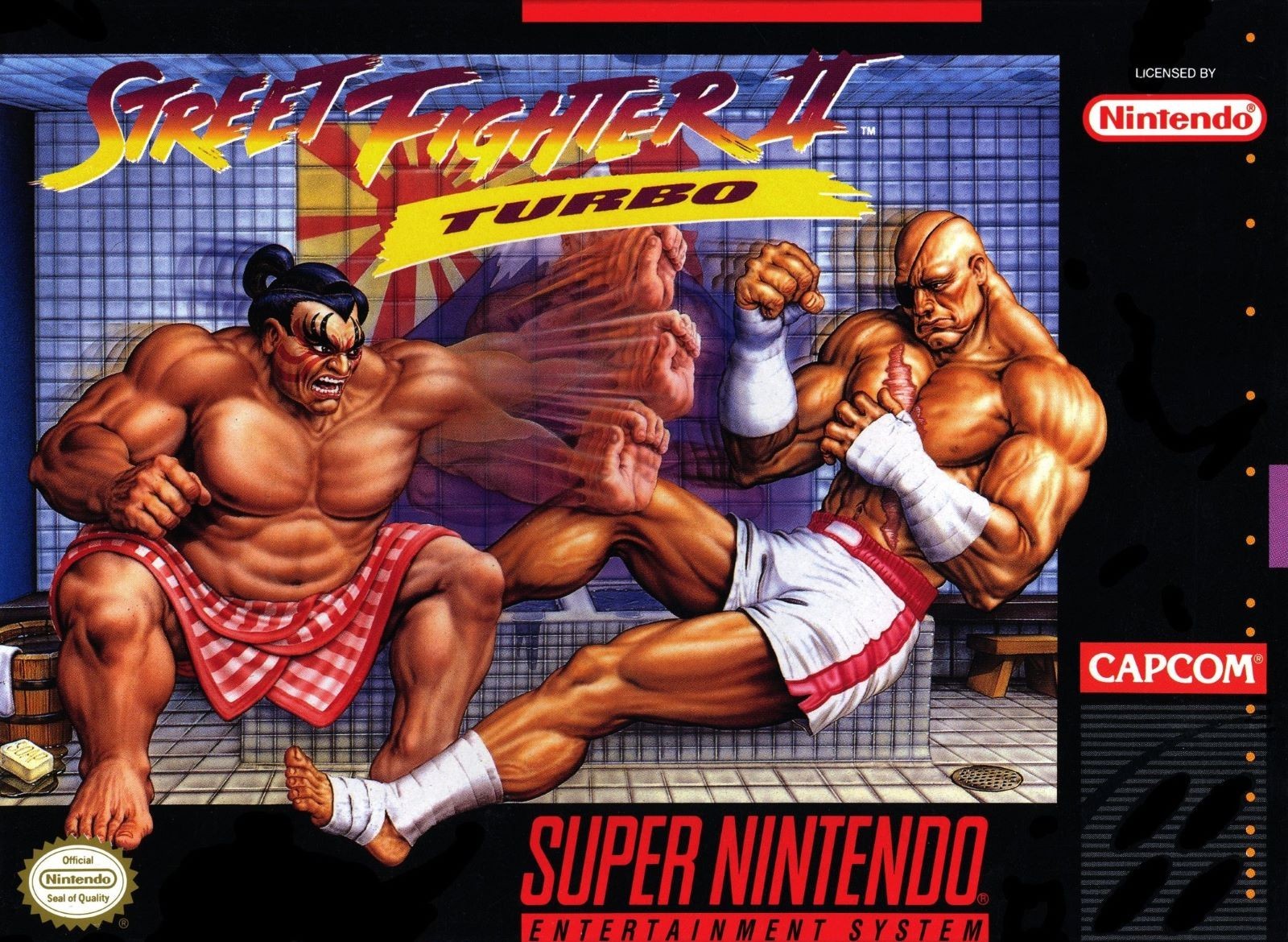 Street Fighter cover sticker Super Nintendo weatherproof bumper vinyl decal