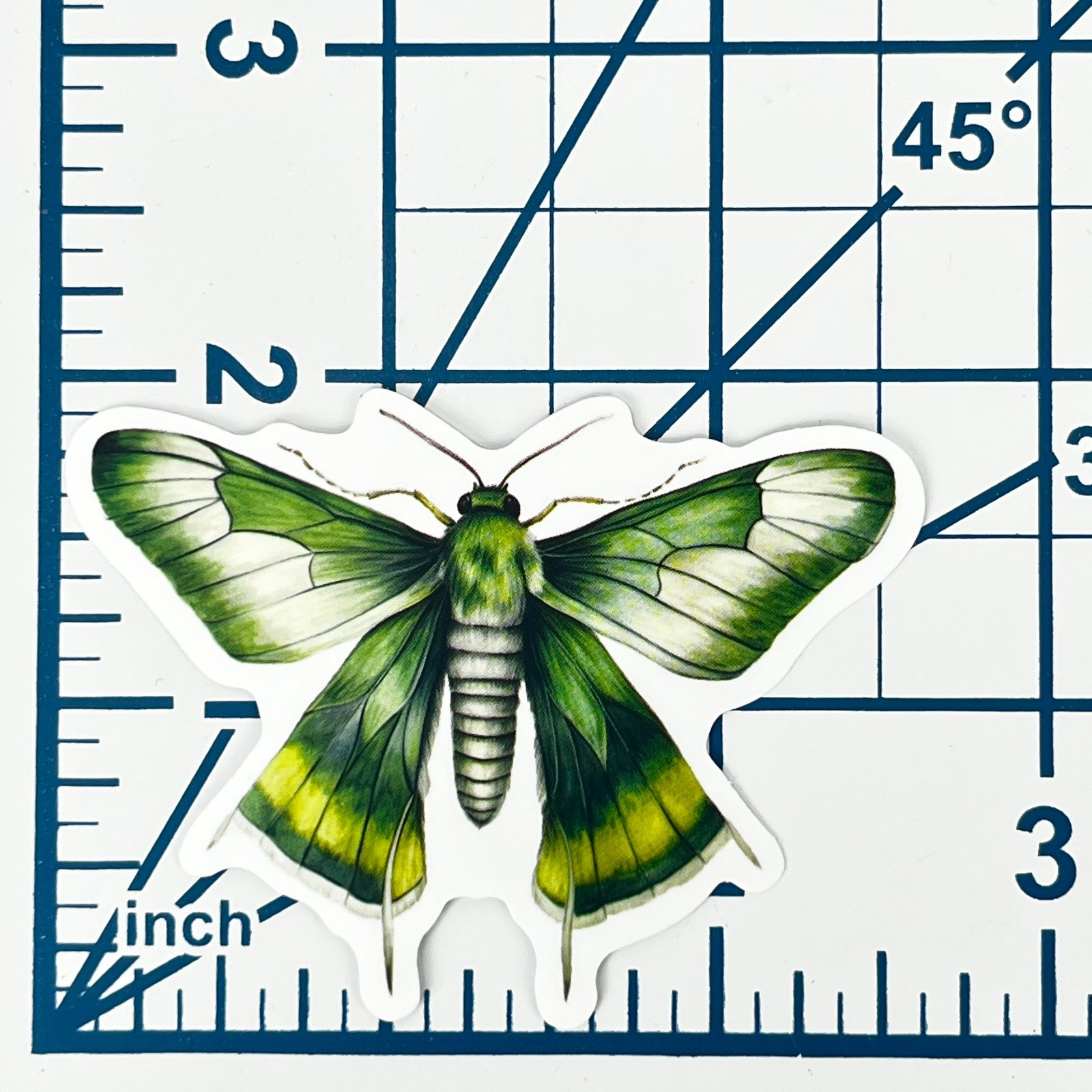 Emerald Green Moth Vinyl Sticker Vintage Butterfly Insect Journal Laptop Craft