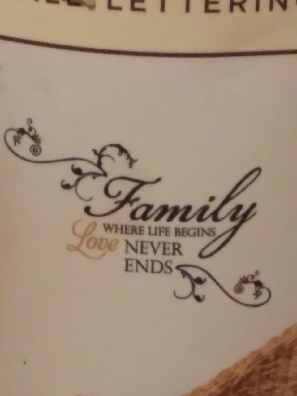 Once Upon a Wall Designer Wall Lettering Vinyl Appears Hand Painted FAMILY Theme