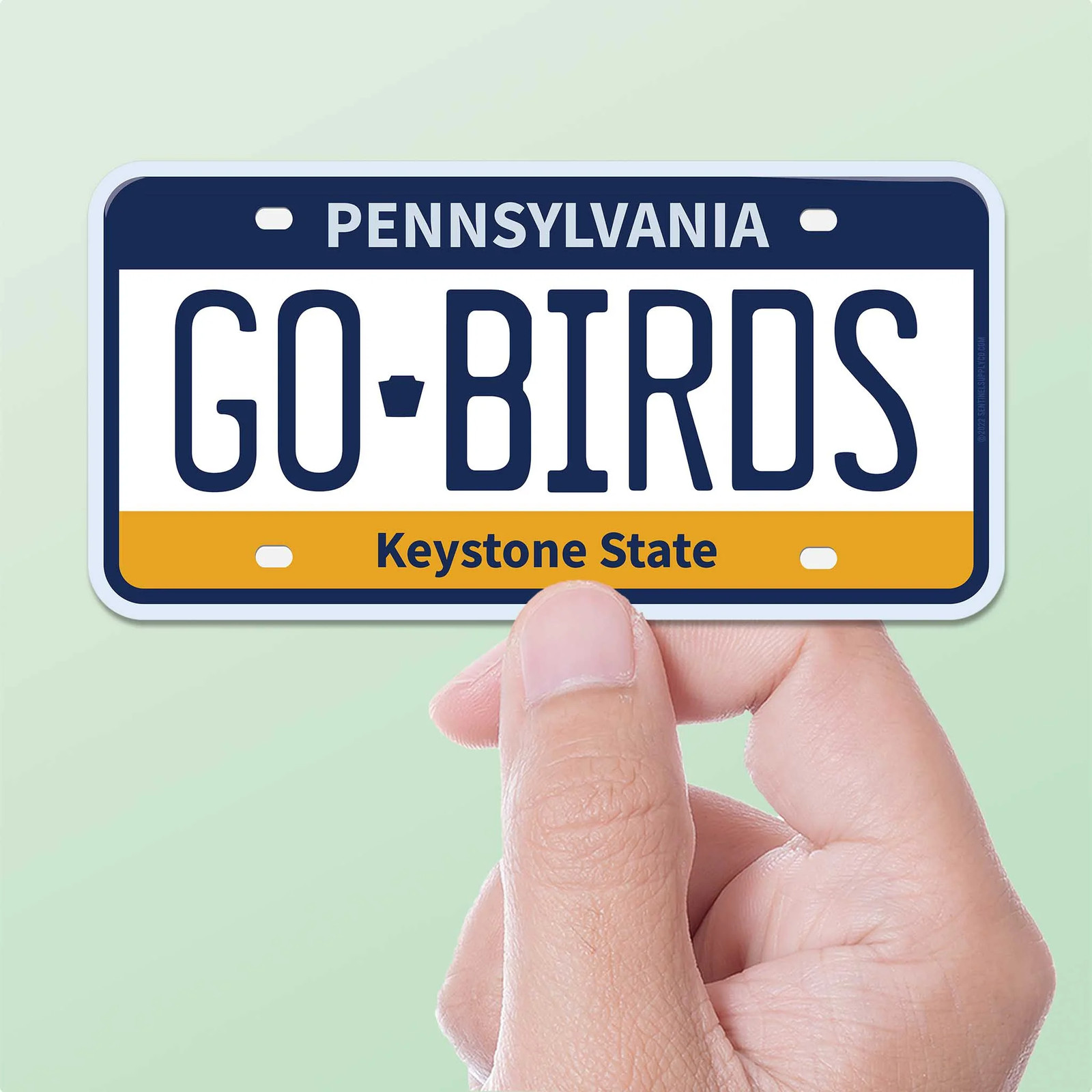 Go Birds Philadelphia Eagles Sticker – PA License Plate