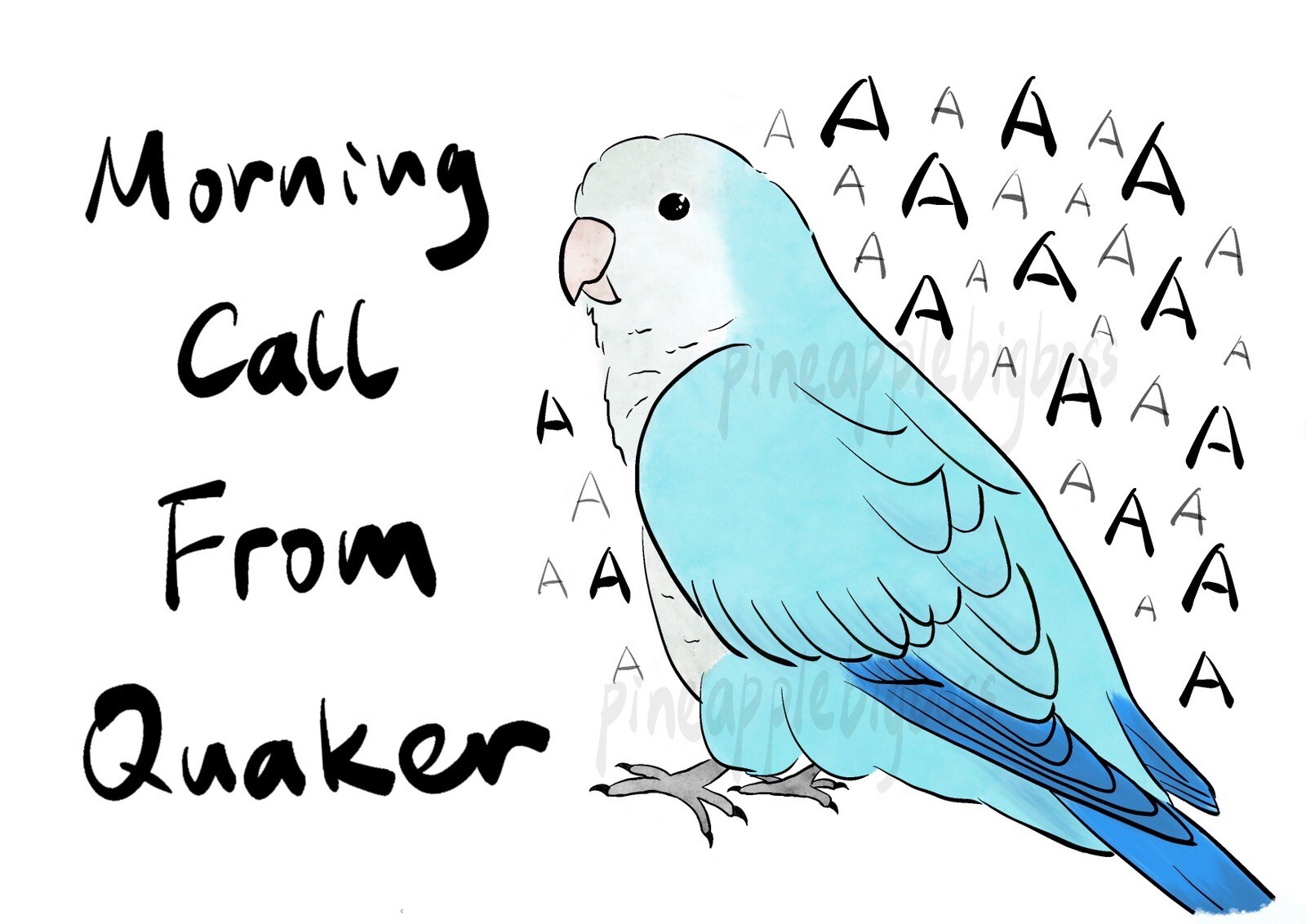 CAR Sticker Blue Quaker Parrot Monk Parrot Outdoor use/UV & Water Proof