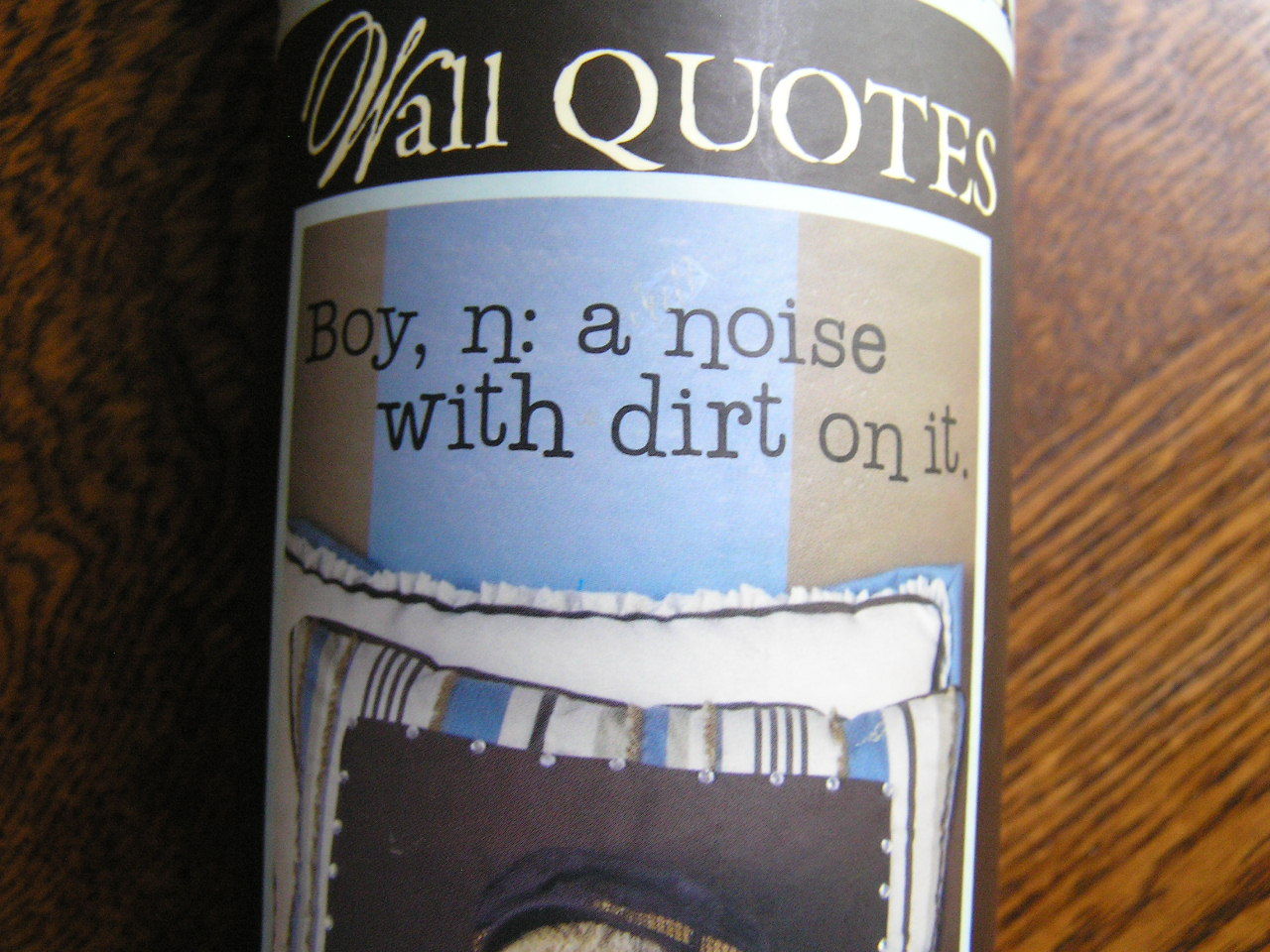 DCWV Home Removable Vinyl Wall Art "BOY, N: A NOISE WITH DIRT ON IT." Black~NIP!