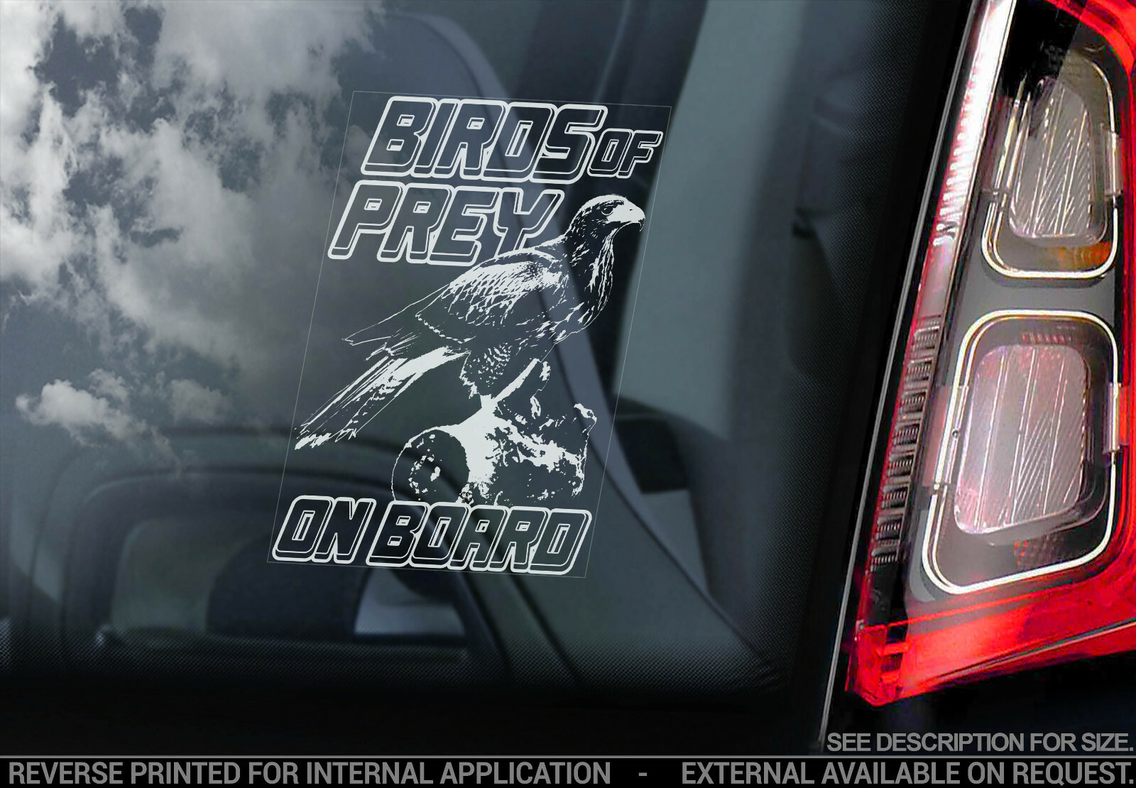 BIRDS OF PREY Car Sticker, Falconry Transit Window Decal Bumper Sign Eagle – V01